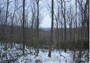 Dish Mill Road, Haddam, Connecticut image 3