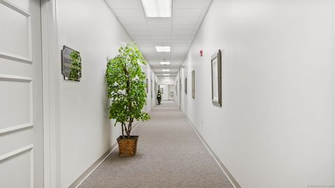 Tiny photo for 1 Trap Falls Road #213, Shelton, CT 06484 (MLS # 24165606)