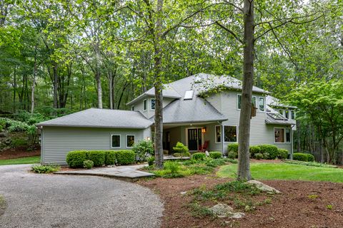 20 Mine Hill Road East Bridgewater CT 06752