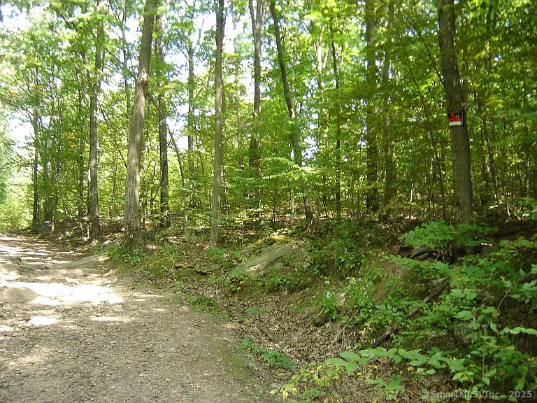 Porter Road, Ellington, Connecticut image 13