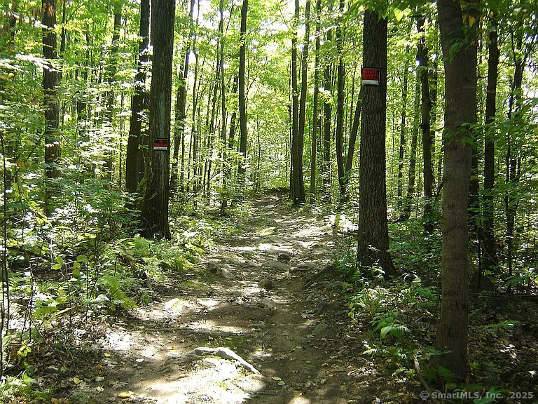 Porter Road, Ellington, Connecticut image 8