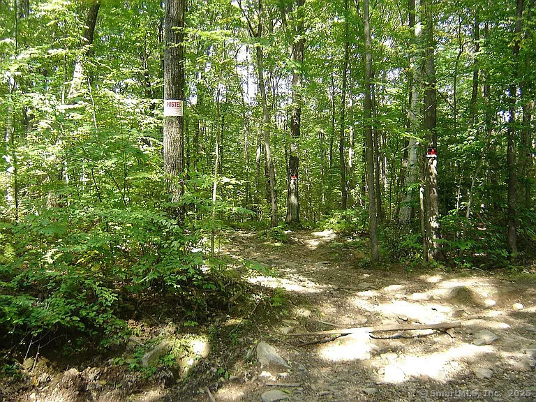 Porter Road, Ellington, Connecticut image 12
