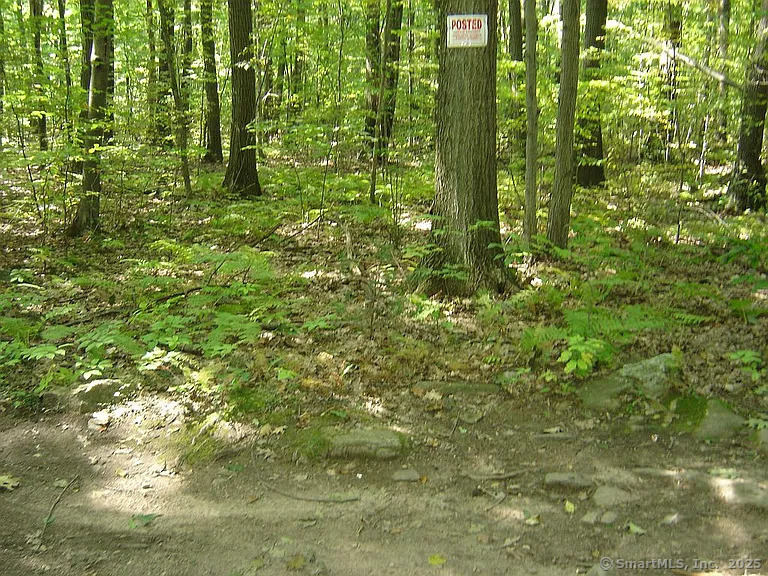 Porter Road, Ellington, Connecticut image 10