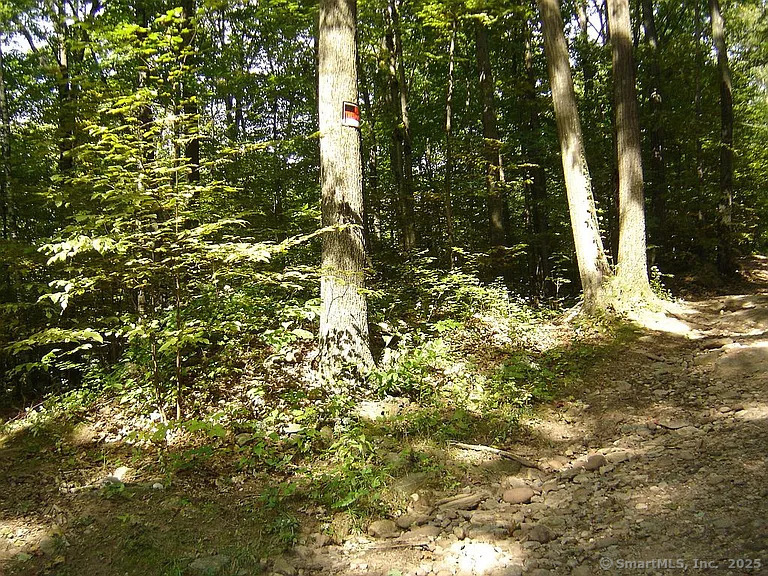 Porter Road, Ellington, Connecticut image 14