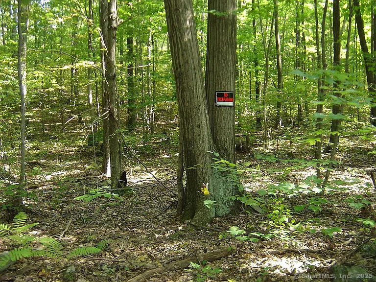 Porter Road, Ellington, Connecticut image 9