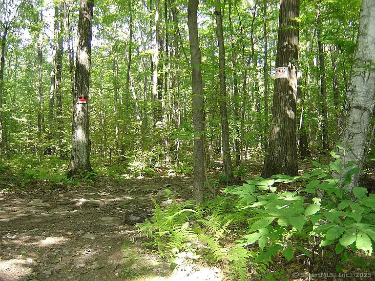 Porter Road, Ellington, Connecticut image 11