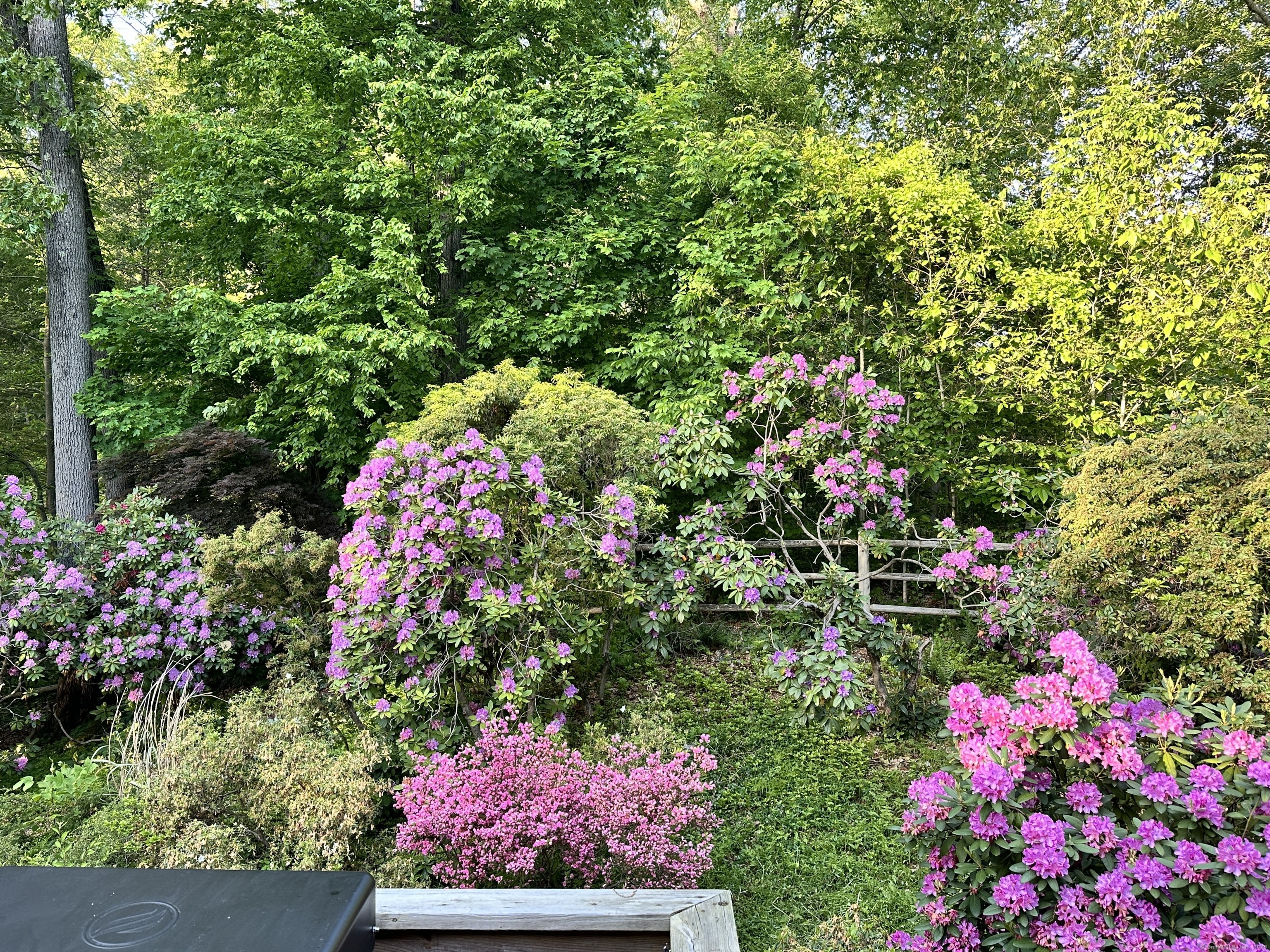 789 Donna Drive, Orange, Connecticut image 36