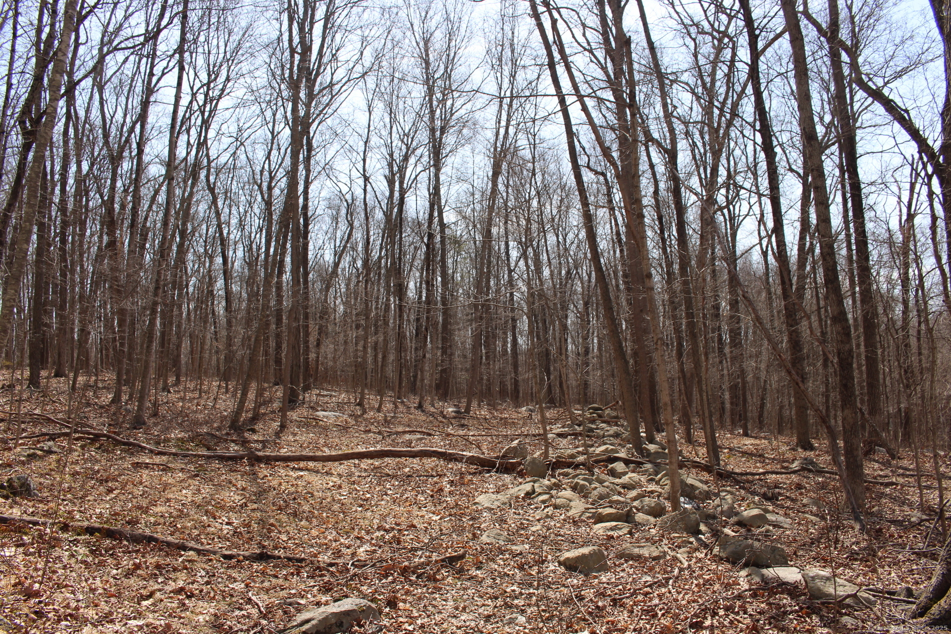 64 Parish Hill Road, Windham, Connecticut image 24