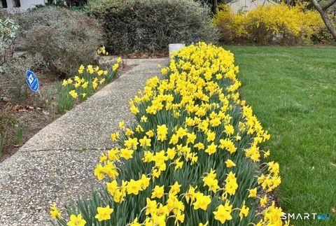 Tiny photo for 15 Very Merry Road, Stamford, CT 06903 (MLS # 24162004)