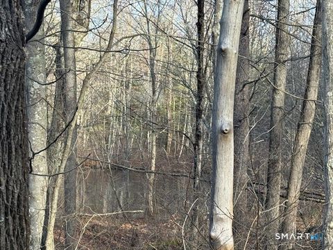 Tiny photo for Center Road, Woodstock, CT 06281 (MLS # 24144556)