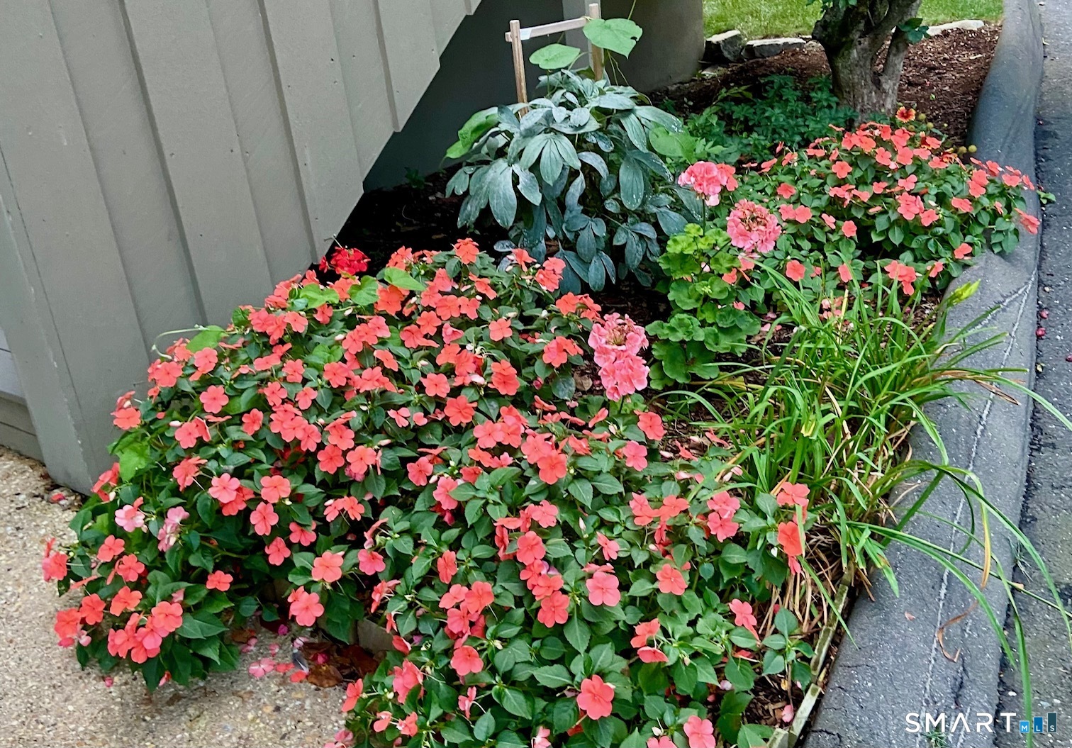 11 Ledgebrook Drive 11