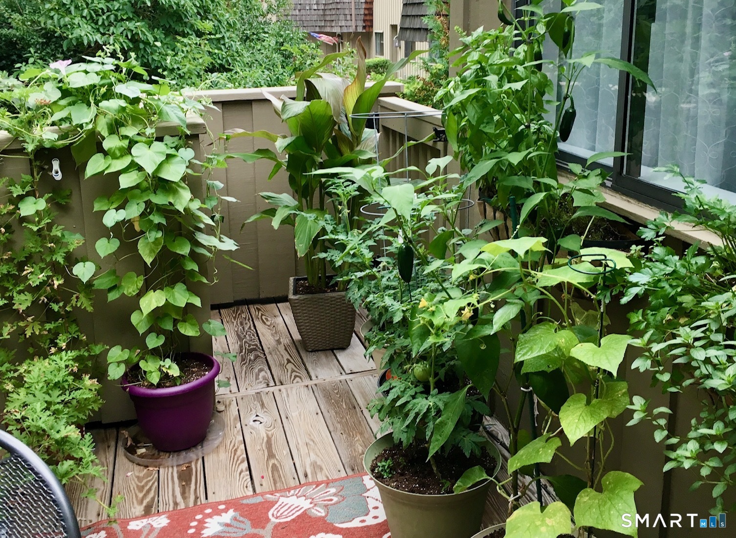 11 Ledgebrook Drive 11