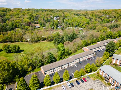 Tiny photo for 55 Porter Avenue #6E, Naugatuck, CT 06770 (MLS # 24174021)