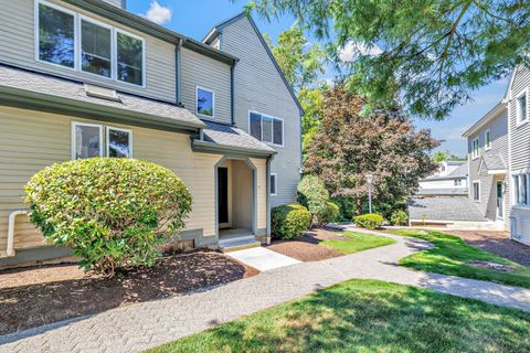 41 Ridgewood Court 41 Shelton CT 06484
