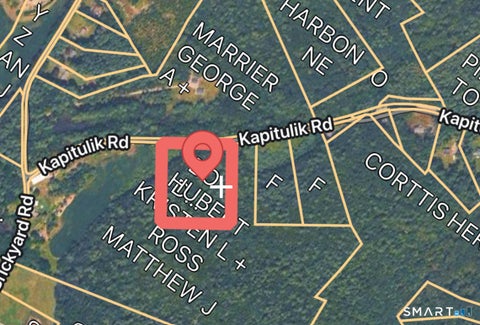 Tiny photo for Lot 169A Kapitulik Road, Thompson, CT 06255 (MLS # 24210652)