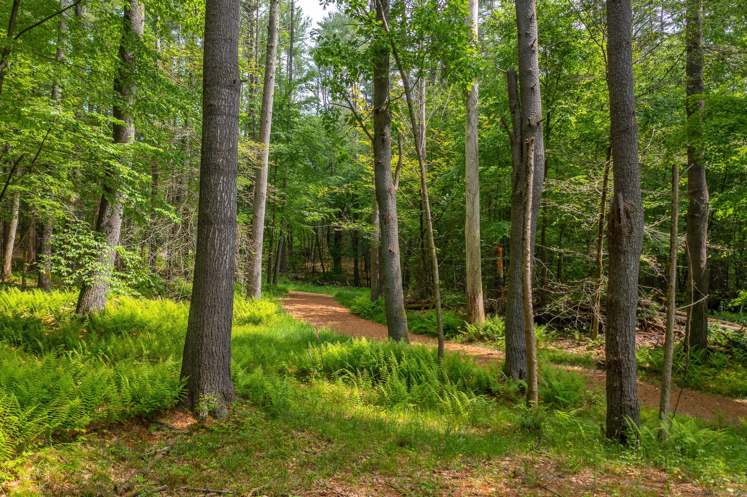 50 Popple Swamp Road