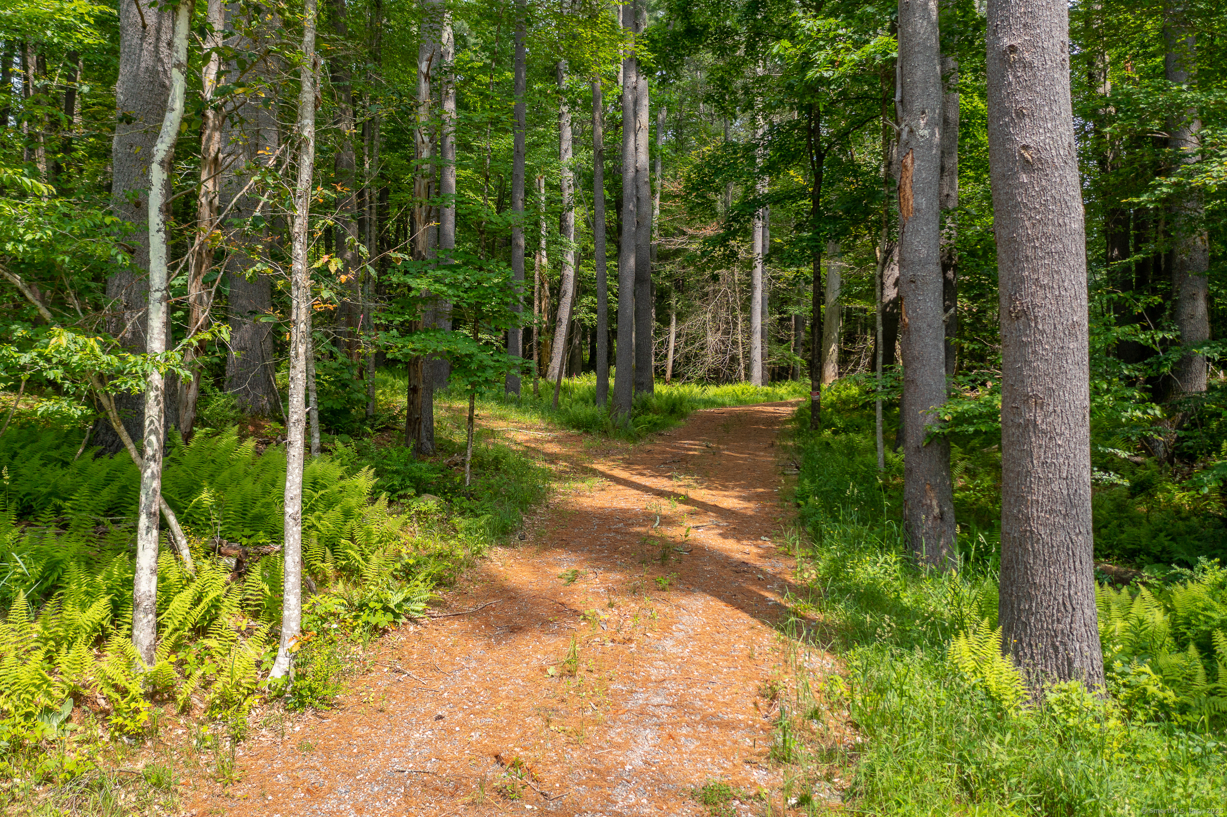 50 Popple Swamp Road