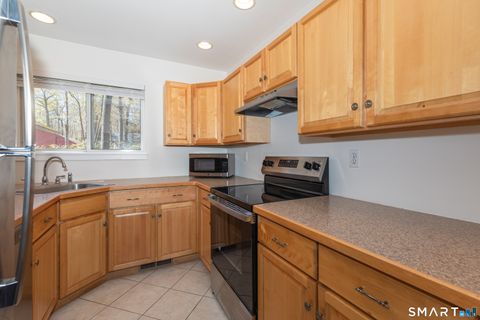 Tiny photo for 23 Lower Commons #23, Woodbury, CT 06798 (MLS # 24160938)