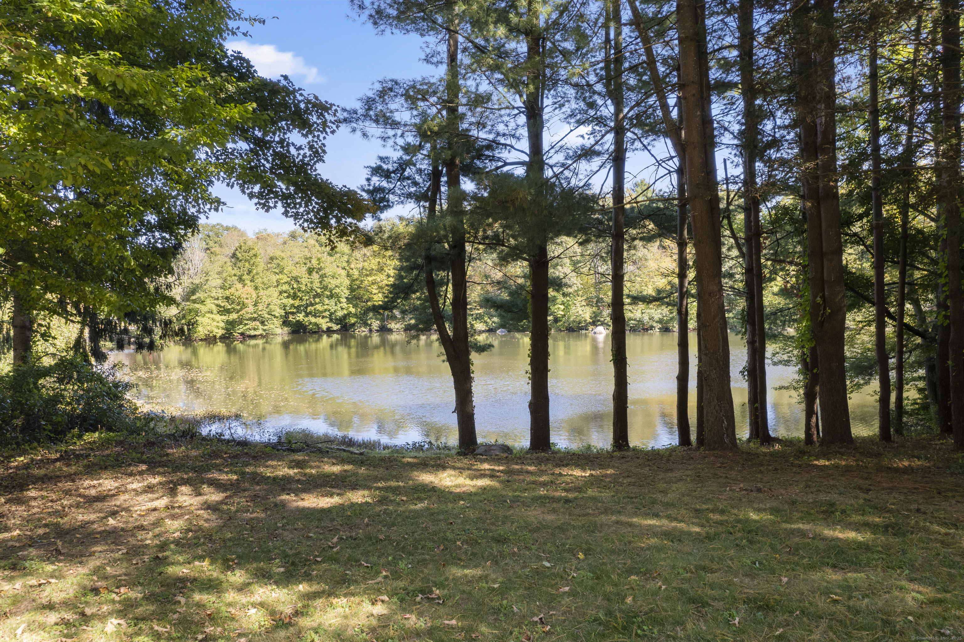 36 Water Lily Lane