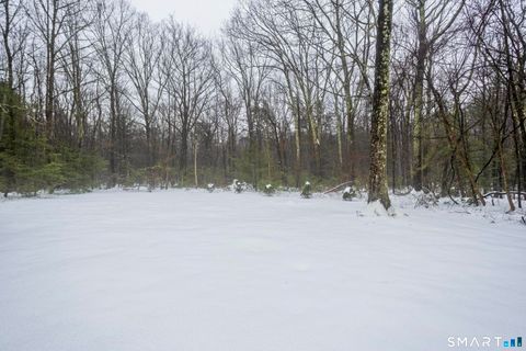 Tiny photo for 23 Little Brook Road, New Hartford, CT 06057 (MLS # 24146499)