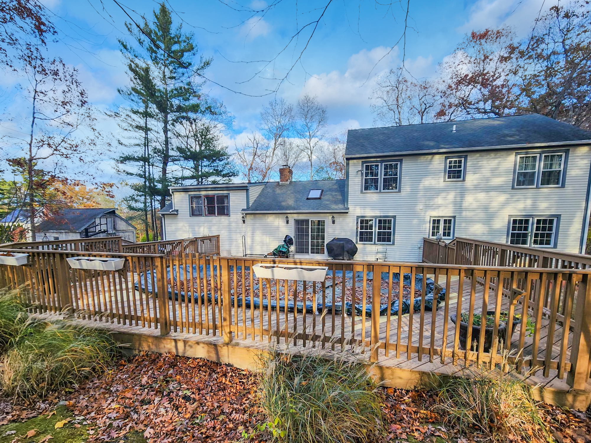 11 Silver Birch Lane