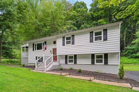 17 Valley Field Road South Newtown CT 06482