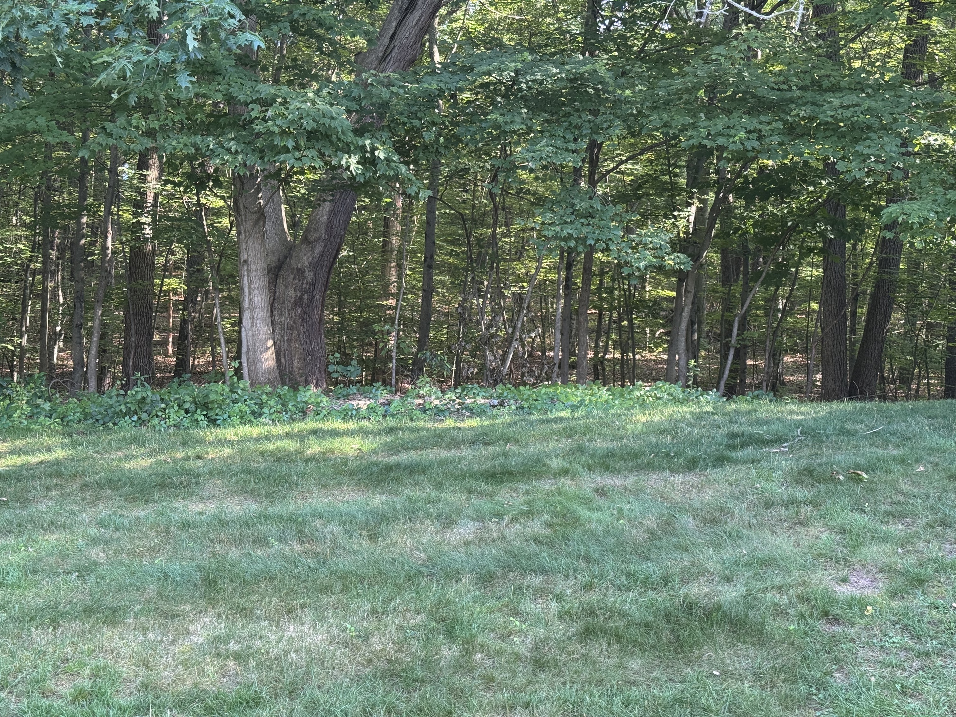 80 Country Lane APT 24