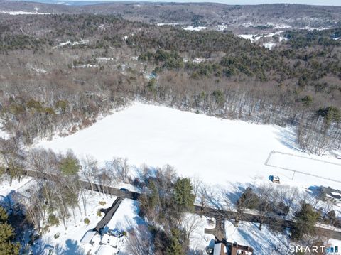 Tiny photo for 98 Cedar Lane, New Hartford, CT 06057 (MLS # 24156596)