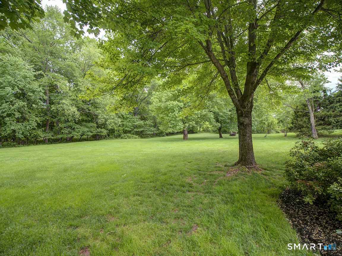 701 Andrea Court