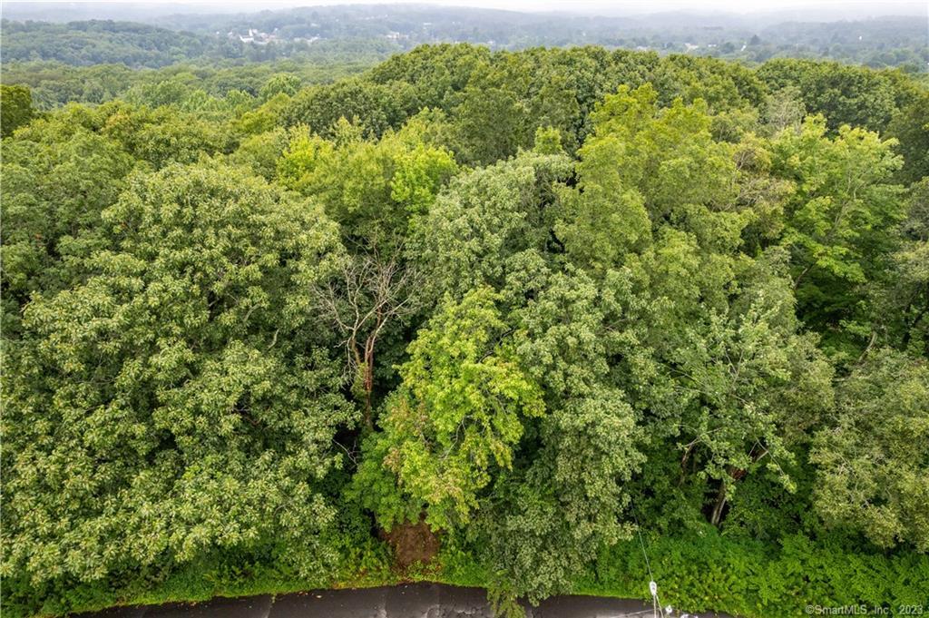 55 E Washington Road, Plymouth, Connecticut image 4