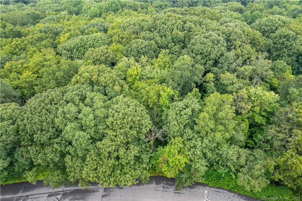55 E Washington Road, Plymouth, Connecticut image 7