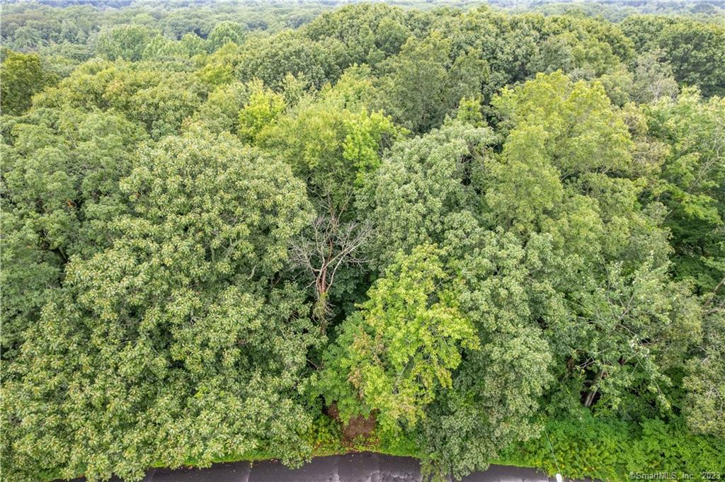 55 E Washington Road, Plymouth, Connecticut image 5