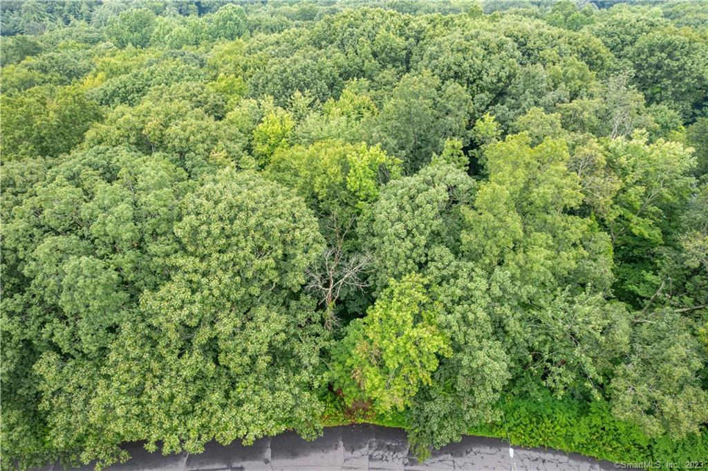 55 E Washington Road, Plymouth, Connecticut image 6