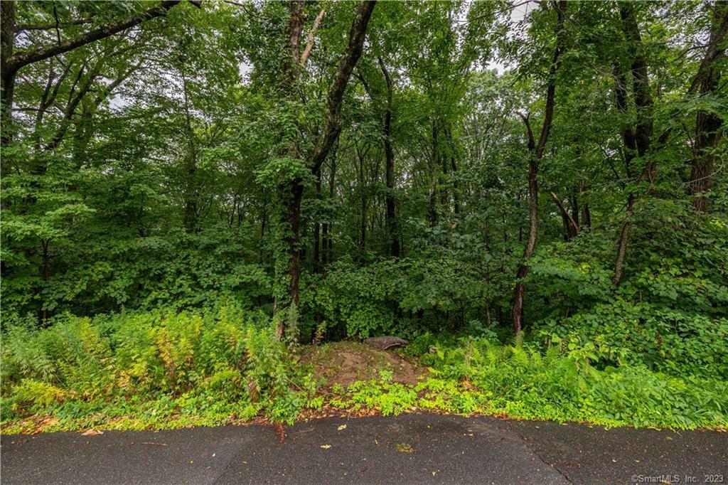 55 E Washington Road, Plymouth, Connecticut image 3