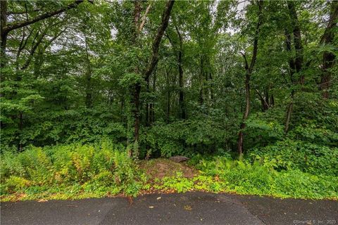 Vacant Land For Sale - 55 E Washington Road<br/> Plymouth, CT 06786