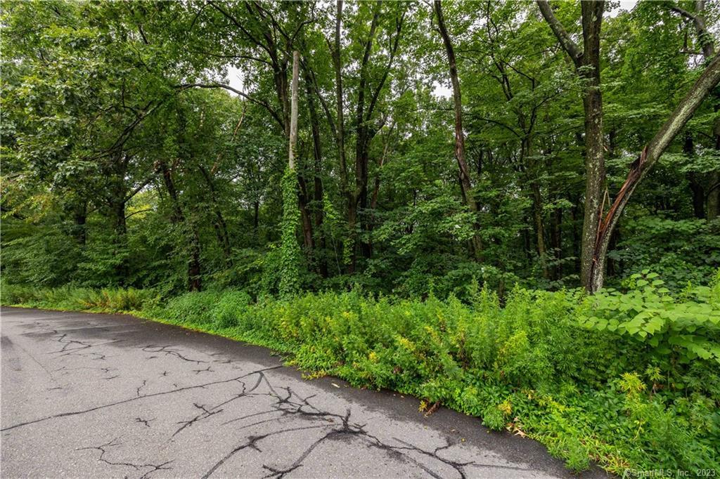 55 E Washington Road, Plymouth, Connecticut image 2
