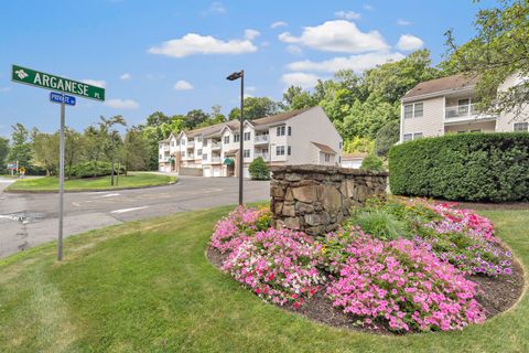 11211 Arganese Place 11211 Trumbull CT 06611
