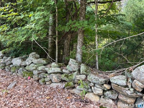 Tiny photo for Rindge Road, Union, CT 06076 (MLS # 24205235)