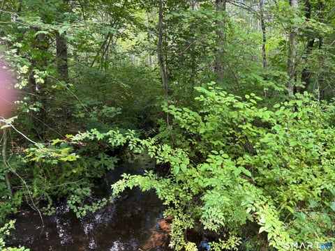 Tiny photo for Rindge Road, Union, CT 06076 (MLS # 24205235)