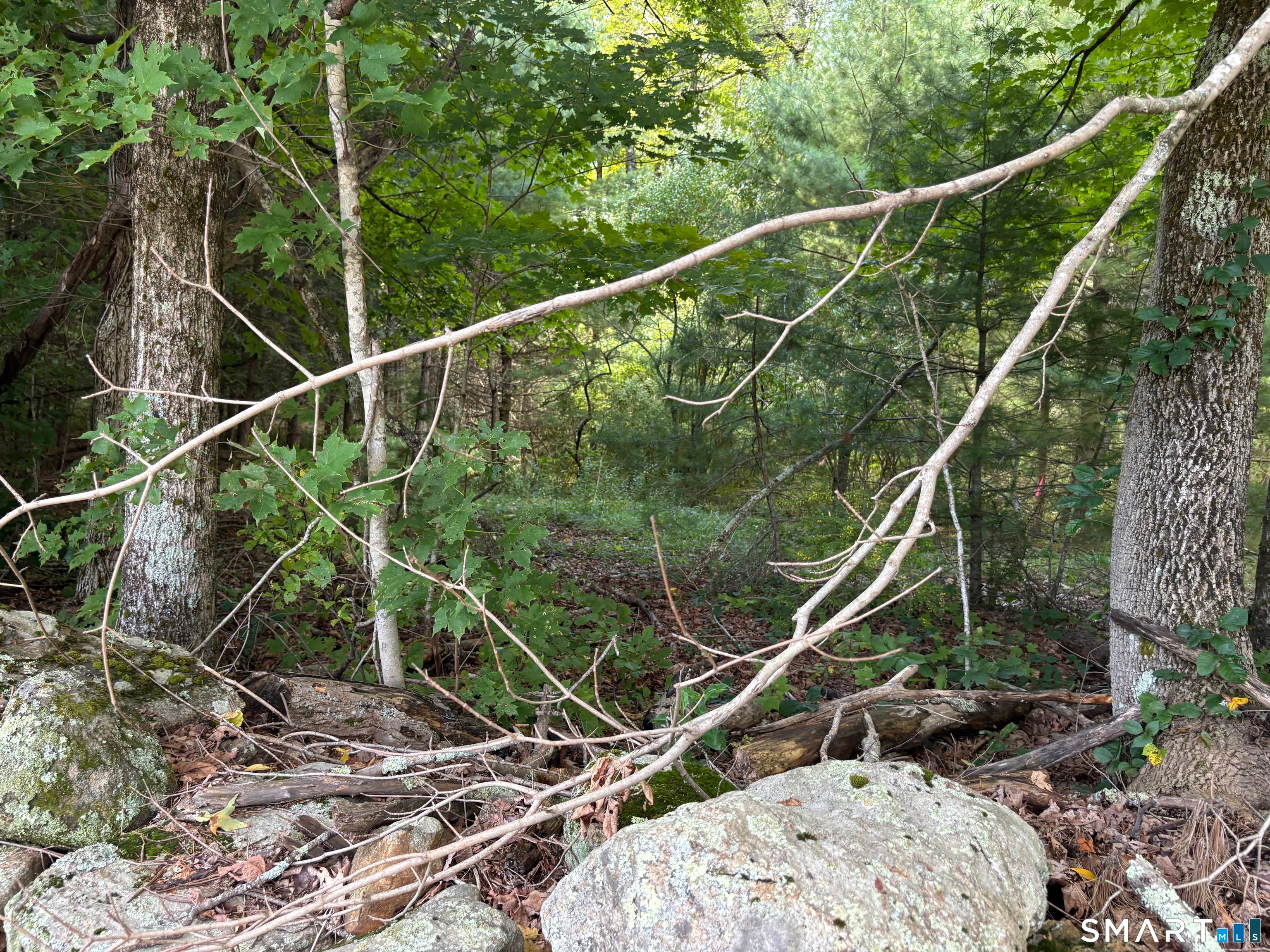Rindge Road