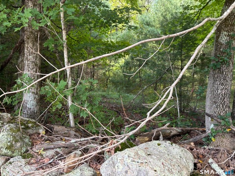 Tiny photo for Rindge Road, Union, CT 06076 (MLS # 24205235)