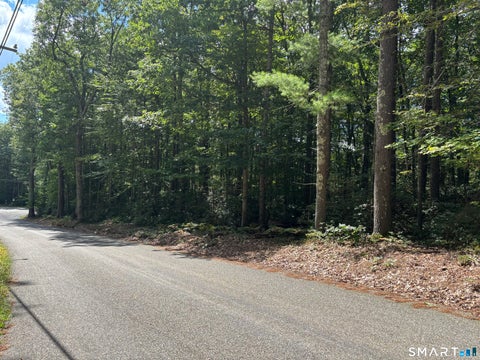 Tiny photo for Rindge Road, Union, CT 06076 (MLS # 24205235)