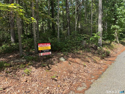 Photo of Rindge Road, Union, CT 06076 (MLS # 24205235)