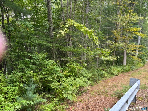 Tiny photo for Rindge Road, Union, CT 06076 (MLS # 24205235)