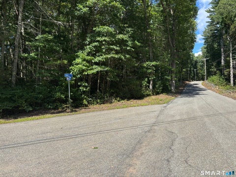 Tiny photo for Rindge Road, Union, CT 06076 (MLS # 24205235)