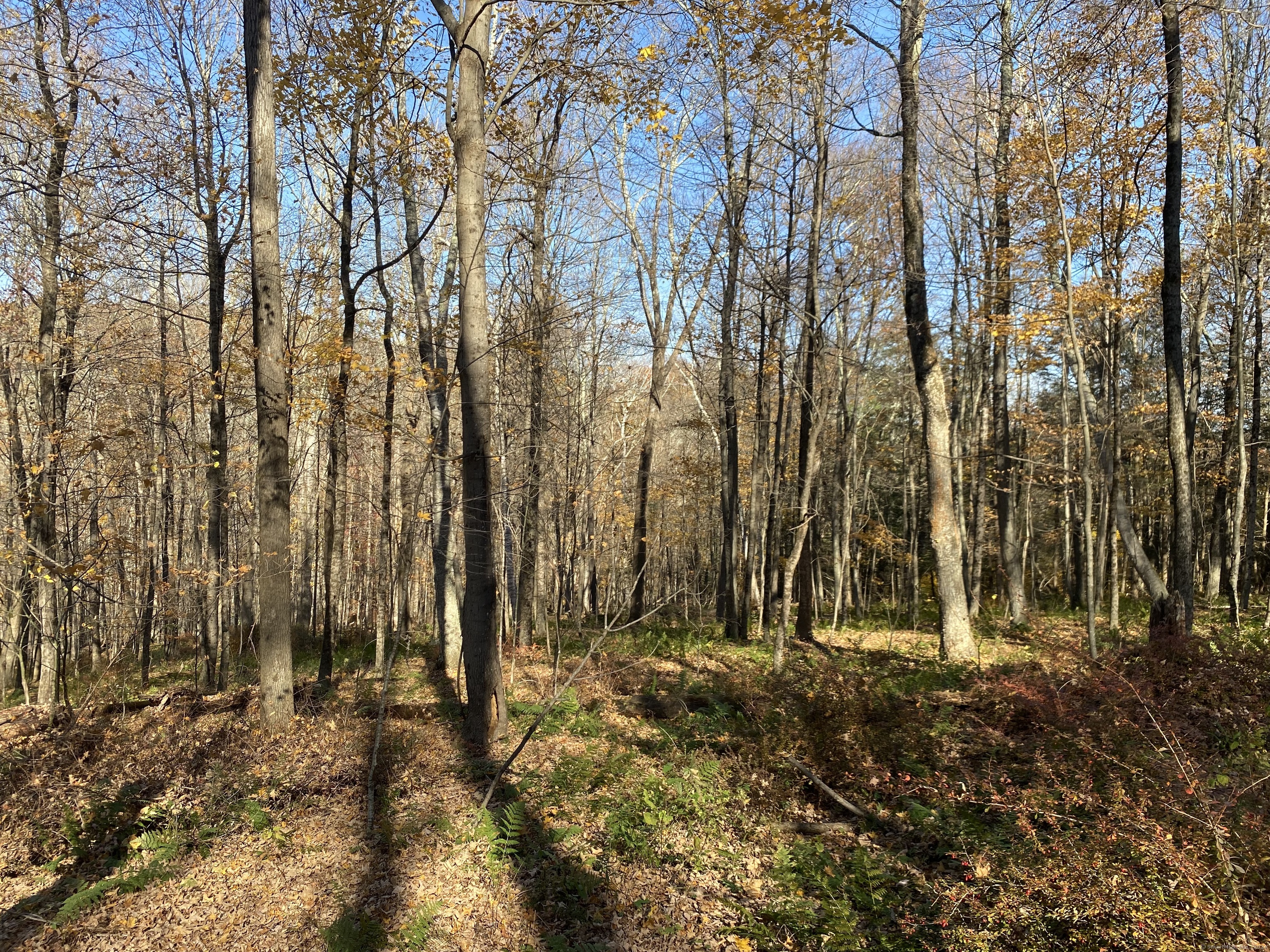Lot 4 0 Silver Hill Road, Sharon, Connecticut image 7
