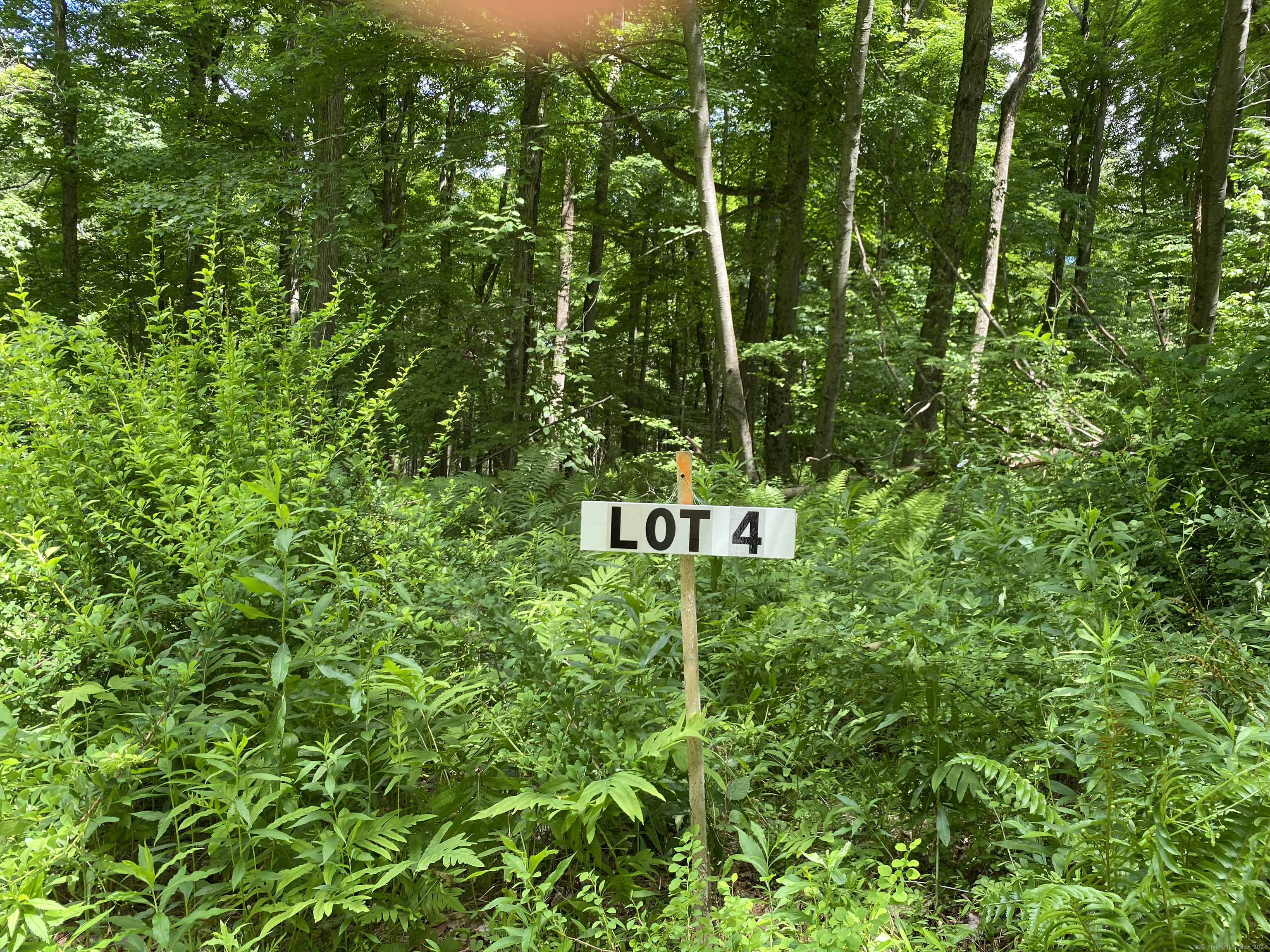 Lot 4 0 Silver Hill Road, Sharon, Connecticut image 8