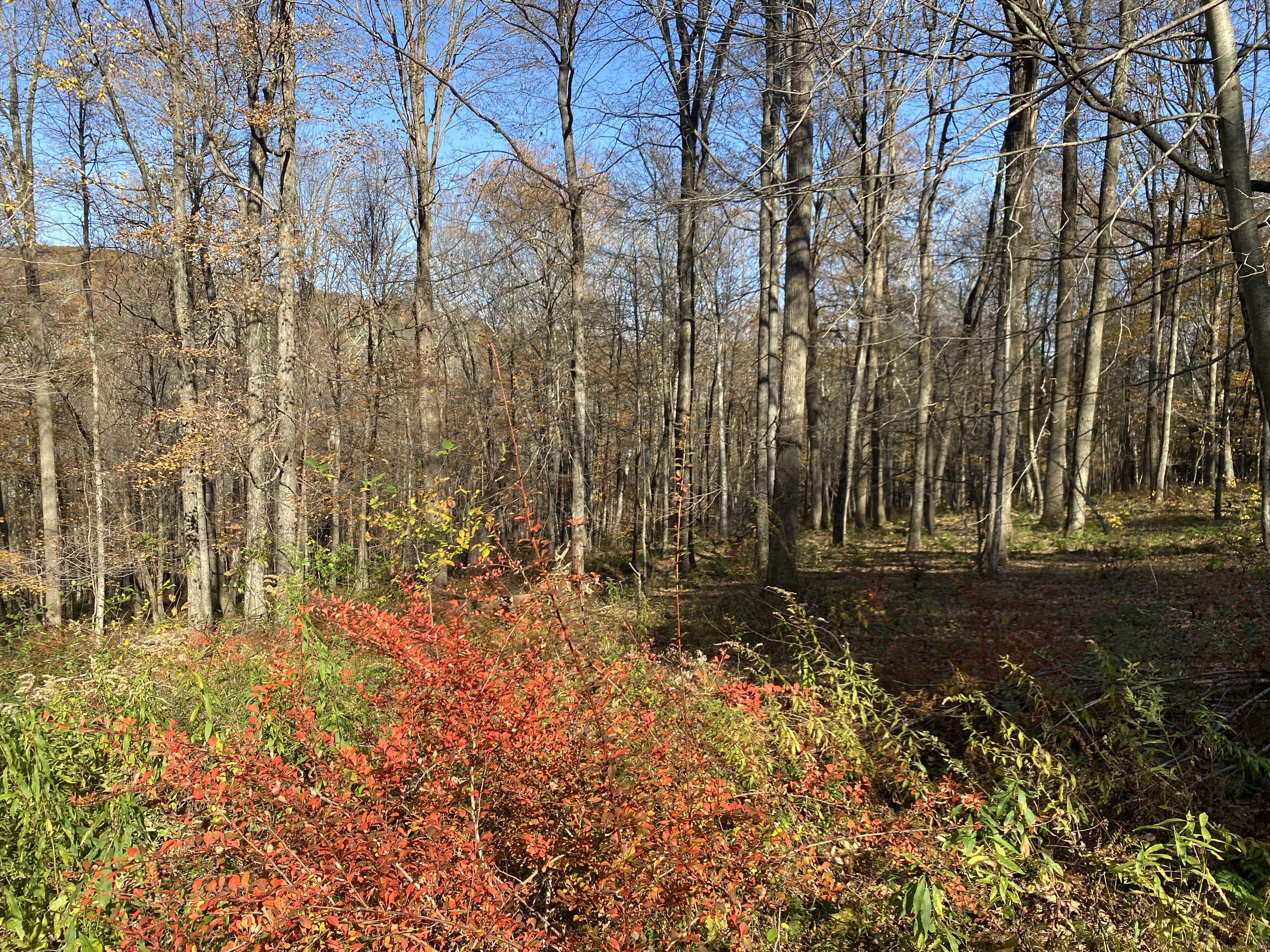 Lot 4 0 Silver Hill Road, Sharon, Connecticut image 4
