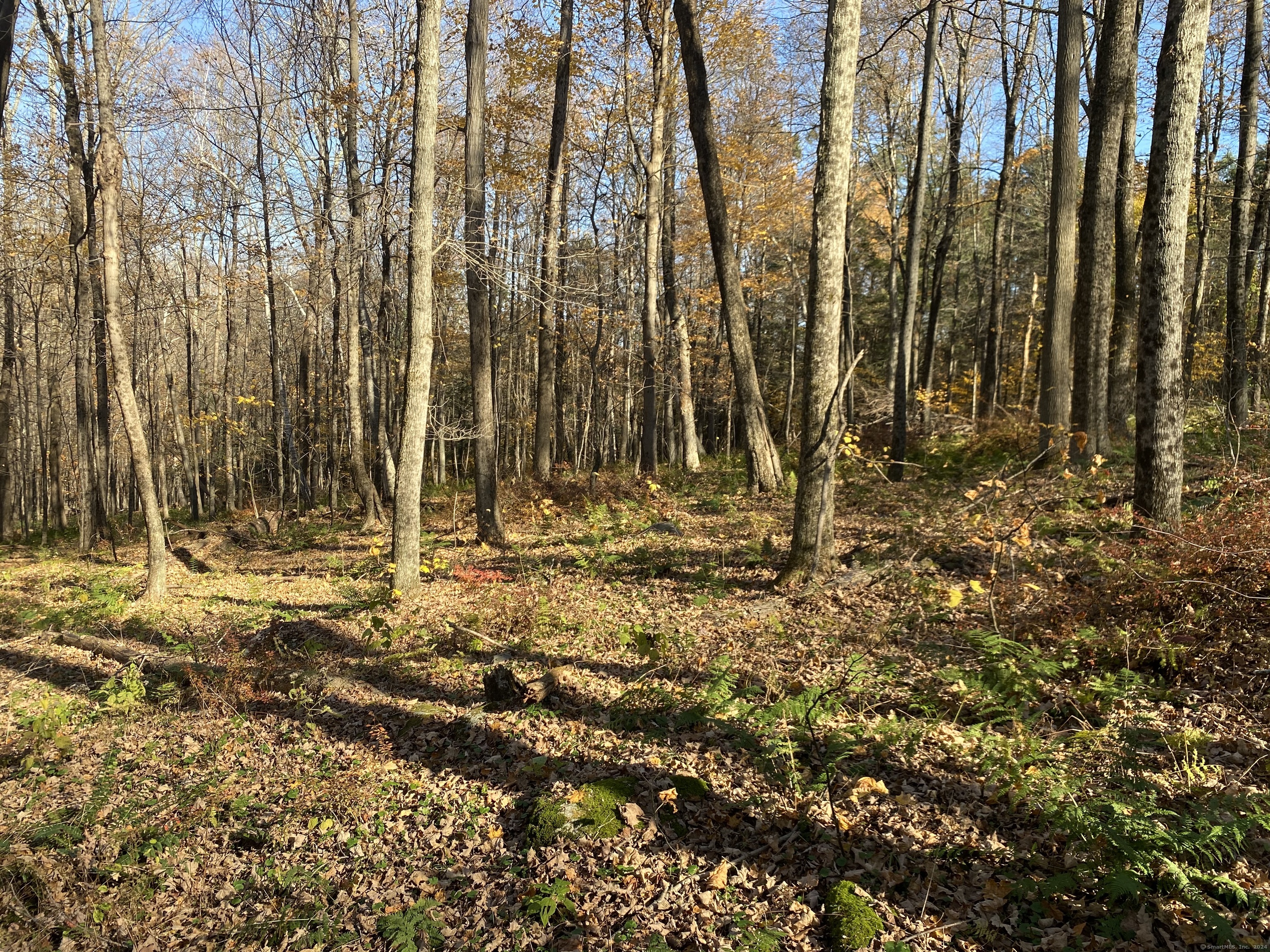 Lot 4 0 Silver Hill Road, Sharon, Connecticut image 5