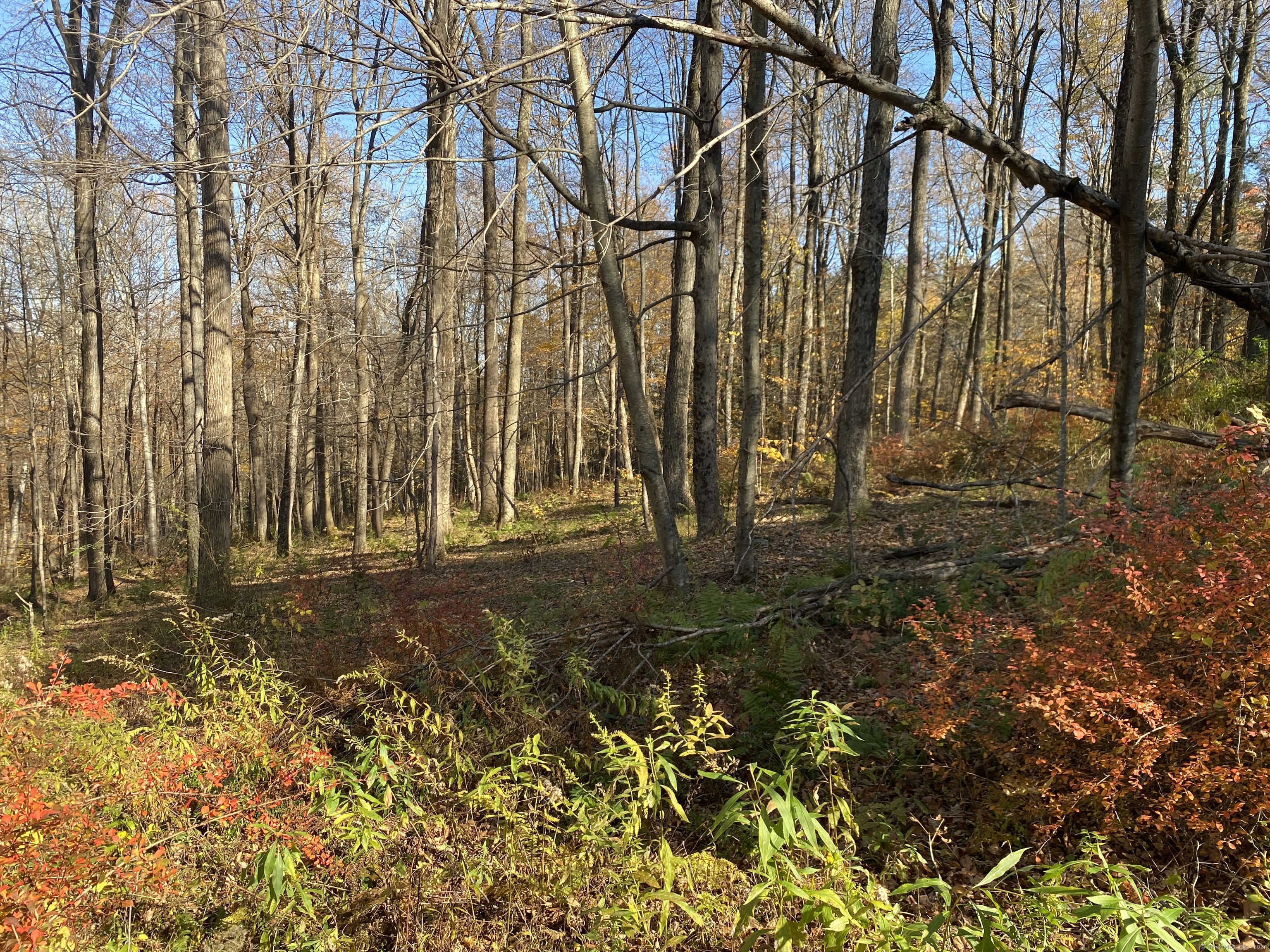 Lot 4 0 Silver Hill Road, Sharon, Connecticut image 3